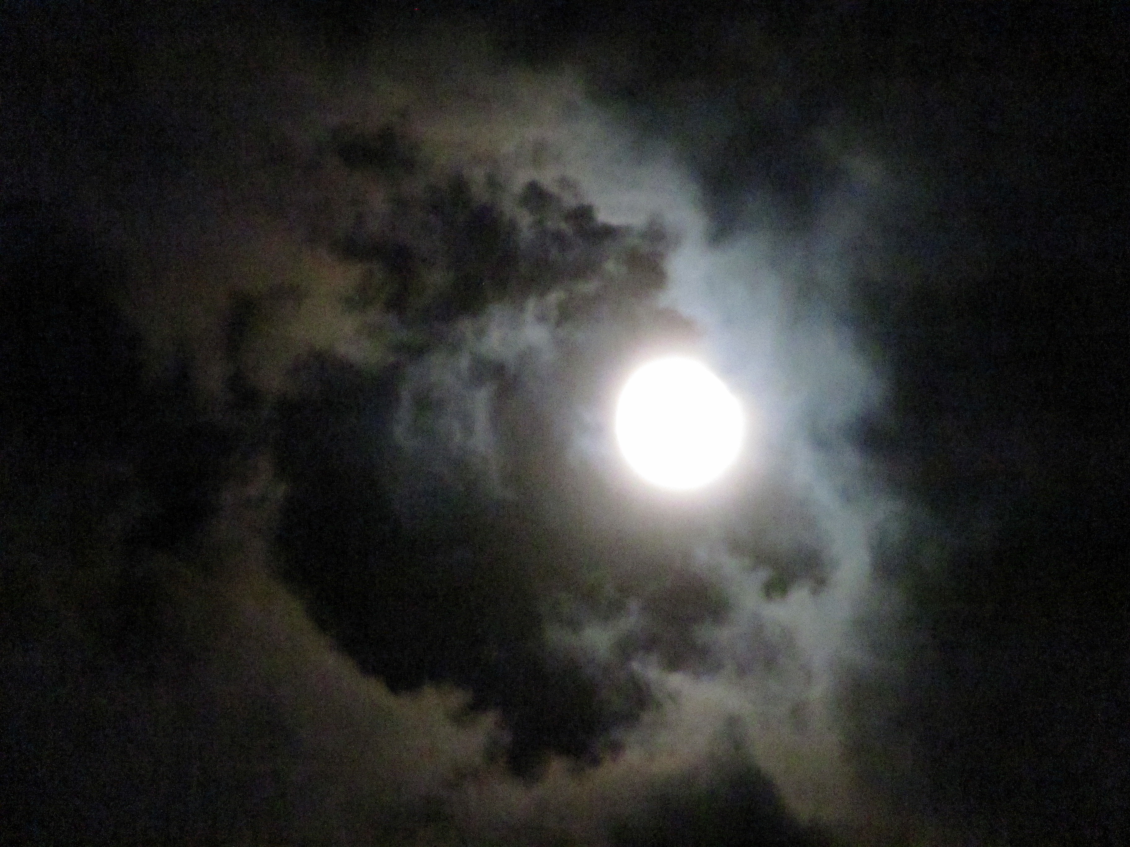 Harvest Moon stargazing session - photo 13