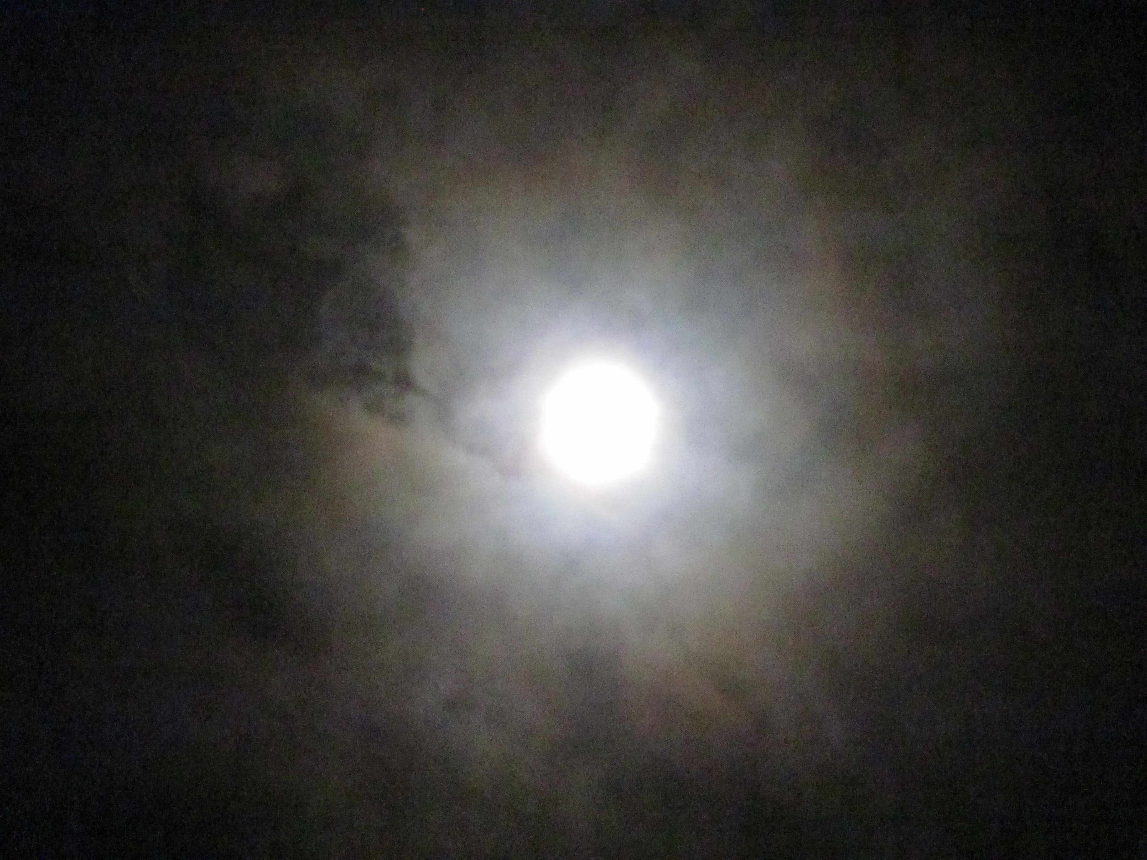 Harvest Moon stargazing session - photo 20