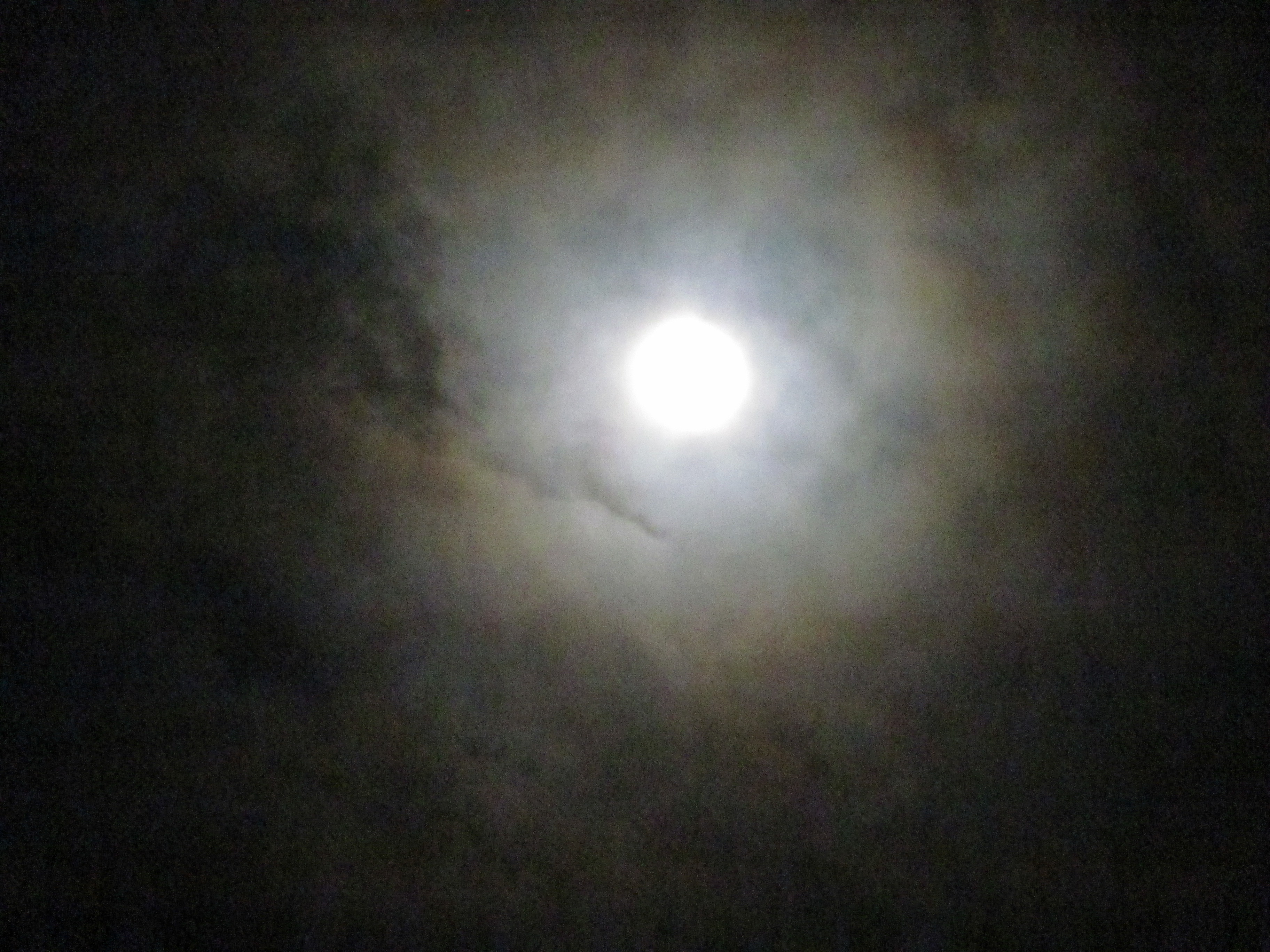 Harvest Moon stargazing session - photo 21